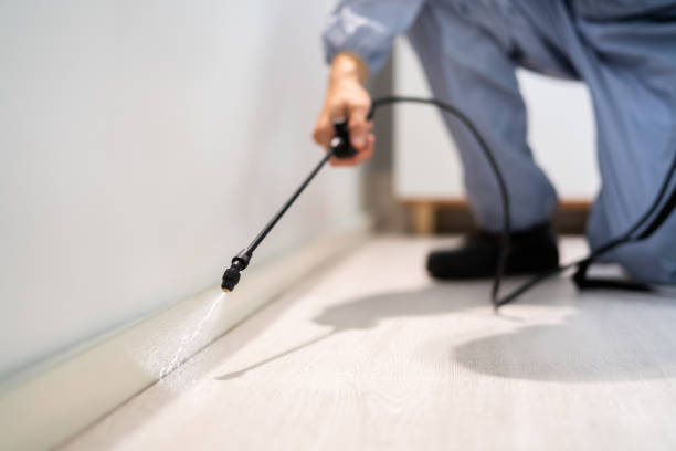 Licensed Termite Control service in Florida, FL - Nex Pest Control