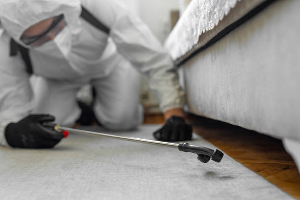 Professional Termite Control technician working in Florida, FL